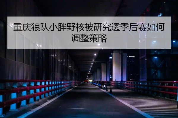 重庆狼队小胖野核被研究透季后赛如何调整策略