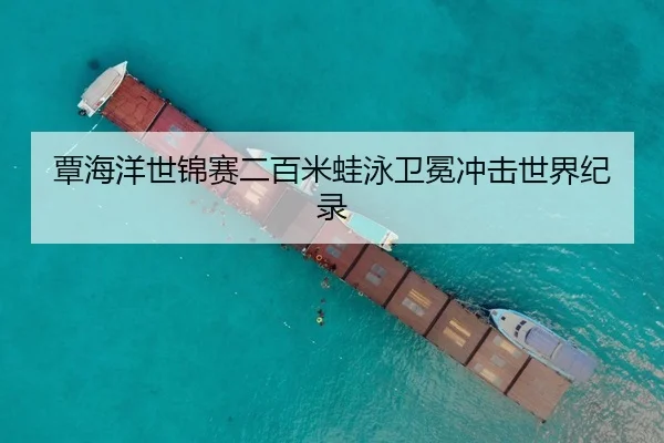 覃海洋世锦赛二百米蛙泳卫冕冲击世界纪录