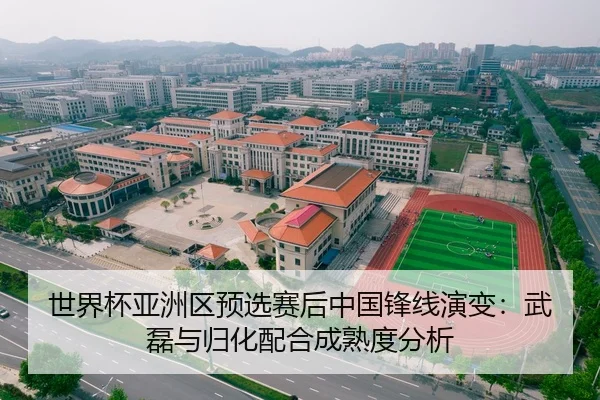世界杯亚洲区预选赛后中国锋线演变：武磊与归化配合成熟度分析