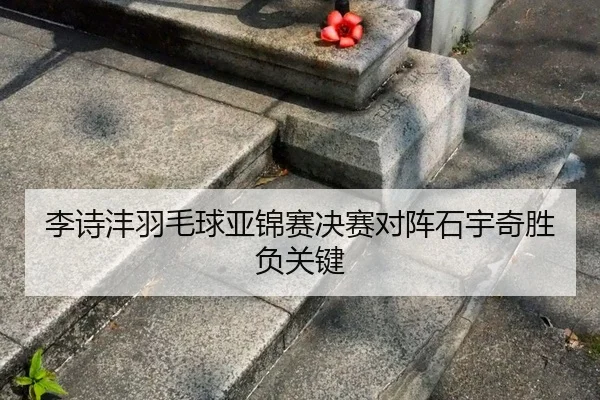 li-shi-feng-yu-mao-qiu-ya-jin-sai-jue-sai-dui-zhen-shi-yu-qi-sheng-fu-guan-jian-2-248.jpg