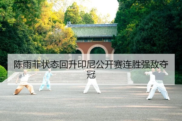 陈雨菲状态回升印尼公开赛连胜强敌夺冠