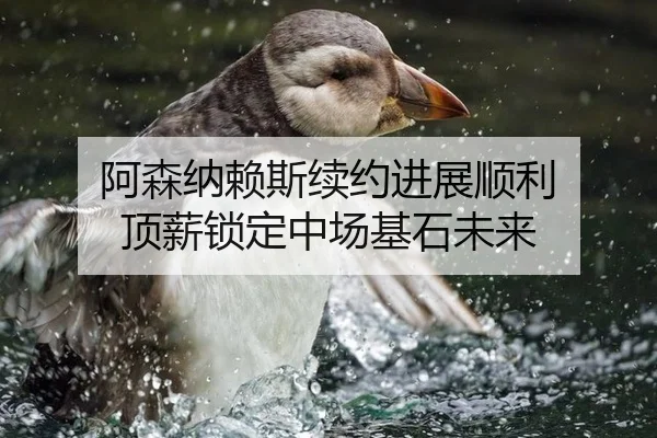 阿森纳赖斯续约进展顺利 顶薪锁定中场基石未来