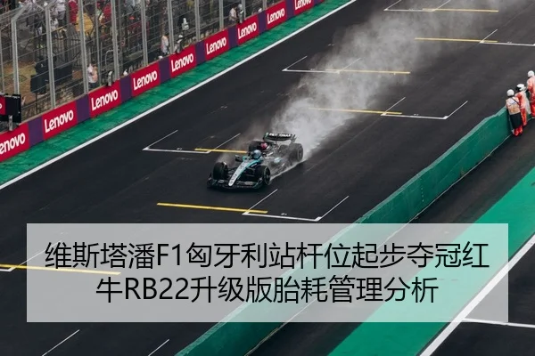 wei-si-ta-pan-xiong-ya-li-zhan-gan-wei-qi-bu-duo-guan-hong-niu-sheng-ji-ban-tai-hao-guan-li-fen-xi-3-137.jpg