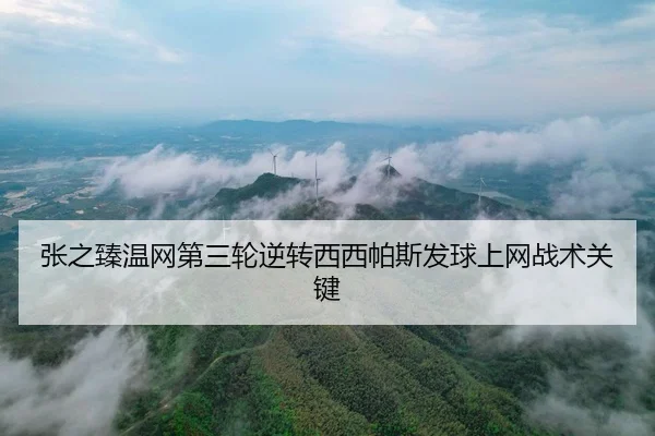 zhang-zhi-zhen-wen-wang-di-san-lun-ni-zhuan-xi-xi-pa-si-fa-qiu-shang-wang-zhan-shu-guan-jian-2-401.jpg