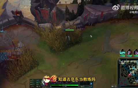 Wayward：去JDG当教练？我感觉压不住他们 今天问FPX教练需要我不